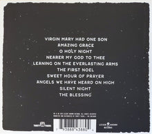 Load image into Gallery viewer, Brian Fallon - Night Divine (CD)
