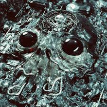 Load image into Gallery viewer, King Gizzard & the Lizard Wizard - Alien Metal (180g-recycled black vinyl) (LP)