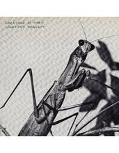 Load image into Gallery viewer, Barnett, Courtney - Creature of Habit (LP)