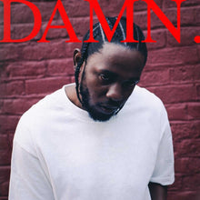 Load image into Gallery viewer, Kendrick Lamar - DAMN (2LP)