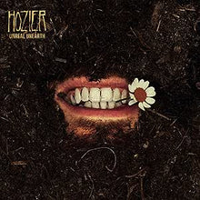 Load image into Gallery viewer, Hozier - Unreal Unearth (2LP) (LP)
