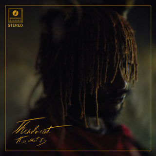 Thundercat - It Is What It Is (LP)