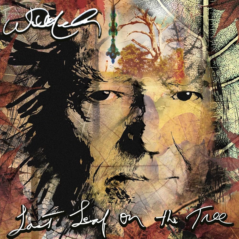 Willie Nelson - Last Leaf on The Tree (LP)