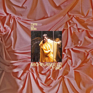 Cate Le Bon - Michelangelo Dying (CD)
