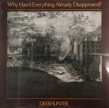 Load image into Gallery viewer, Deerhunter-Why Hasn't Everything Already Disappeared? (grey vinyl)
