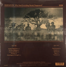 Load image into Gallery viewer, Deerhunter-Why Hasn't Everything Already Disappeared? (grey vinyl)
