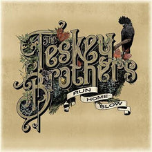 Load image into Gallery viewer, Teskey Brothers - Run Home Slow (LP)

