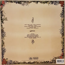 Load image into Gallery viewer, Teskey Brothers - Run Home Slow (LP)
