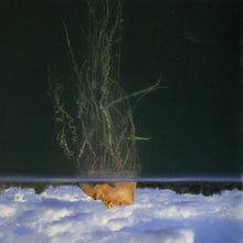 Load image into Gallery viewer, Mars Volta - De-Loused In The Comatorium  (Lp)
