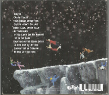 Load image into Gallery viewer, The New Pornographers – Together (Lp)
