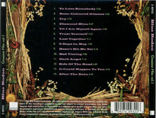 Load image into Gallery viewer, Blue Rodeo - Greatest Hits  (LP)
