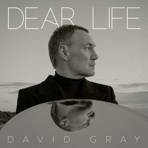 Gray, David - Dear Life (2LP-seaweed green vinyl)