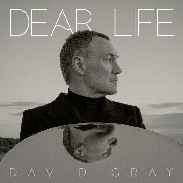 Gray, David - Dear Life (2LP-seaweed green vinyl)