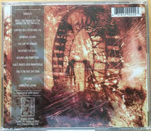Load image into Gallery viewer, My Chemical Romance - I Brought You my Bullets, You Brought me Your Love (LP)
