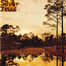 Load image into Gallery viewer, Silver Jews - Starlite Walker (Lp)
