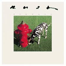 Load image into Gallery viewer, Rush - Signals (180g audiophile vinyl-remastered/direct metal master) (LP)
