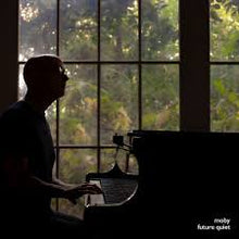 Load image into Gallery viewer, Moby - Future Quiet (2LP-clear vinyl) (LP)
