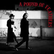 Load image into Gallery viewer, Black Crowes - A Pound of Feathers (indie excl.) (CD)
