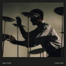 Load image into Gallery viewer, Blake, James - Trying Times (2LP-black vinyl) (LP)
