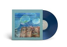 Load image into Gallery viewer, Reds, Pinks And Purples - Acknowledge Kindness (dark cloud coloured vinyl) (LP)
