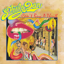 Load image into Gallery viewer, Steely Dan - Can't Buy a Thrill (180g/remaster) (LP)
