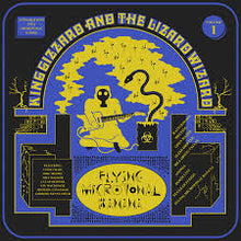 Load image into Gallery viewer, King Gizzard &amp; the Lizard Wizard - Flying Microtonal Banana (lucky rainbow eco-mix vinyl) (LP)
