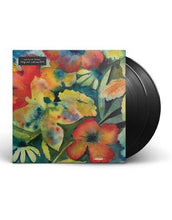Load image into Gallery viewer, Adrianne Lenker - Songs And Instrumentals  (LP)
