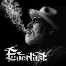 Load image into Gallery viewer, Everlast - Embers to Ashes (2LP-smokey clear vinyl-indie exclusive) (LP)

