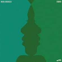 Load image into Gallery viewer, Ndegeocello, Me'Shell	- Synonym (2LP) (LP)
