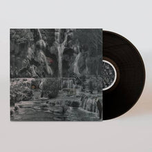 Load image into Gallery viewer, Lambchop - Punching The Clown (black vinyl) (LP)
