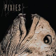 Load image into Gallery viewer, Pixies - Complete B Sides: 1988-97 (2LP/indie shop edition/clear) (LP)
