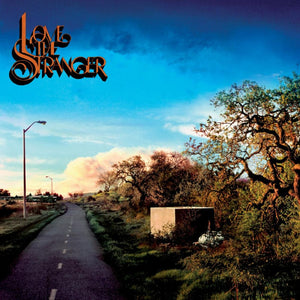 Friendship - Love the Stranger (LP)