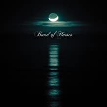 BAND OF HORSES - CEASE TO BEGIN (LP)