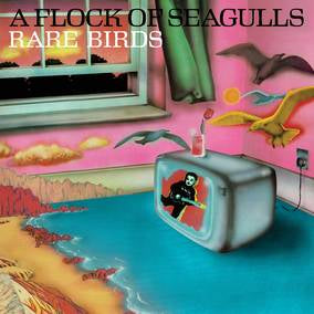 A Flock of Seagulls - Rare Birds (RSD 2023 LP)