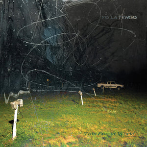 Yo La Tengo - This Stupid World (LP)