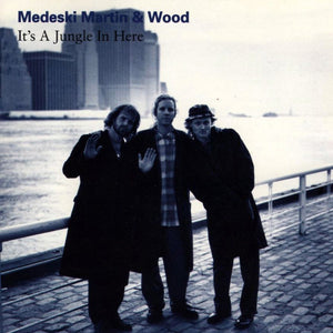Medeski Martin and Wood - It’s A Jungle In Here (LP)
