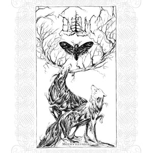Enisum-Moth'S Illusion