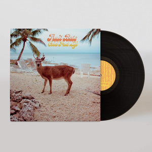 Fruit Bats - Gold Past Life (LP)