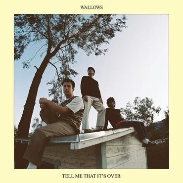 Wallows - Tell Me That It’s Over (LP)