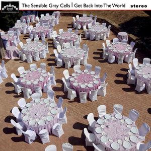 Sensible Gray Cells-Get Back Into The World