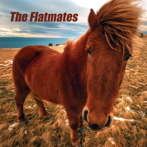 Flatmates-The Flatmates
