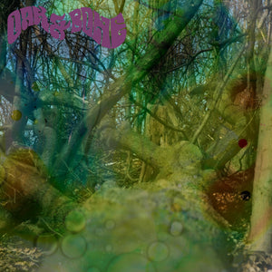 Oak & Bone-S/T