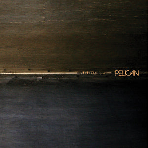Pelican-Arktika