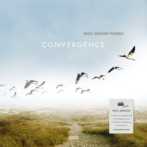 Mezza Ginsburg Ensemble-Convergence