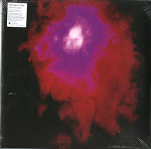 Load image into Gallery viewer, Porcupine Tree-Up The Downstair ( 2 Lp )
