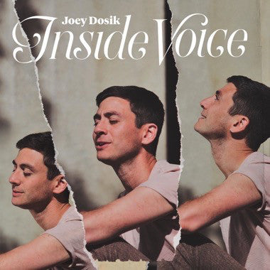 Joey Dosik - Inside Voice (stone white vinyl)