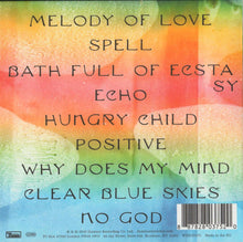 Load image into Gallery viewer, Hot Chip-A Bath Full of Ecstasy (LP)
