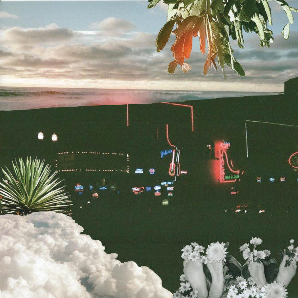 A Hot Second With The Velveteins - The Velveteins (LP)