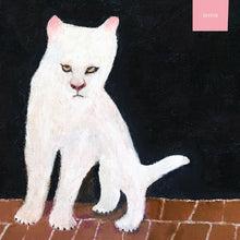 Load image into Gallery viewer, Duster - Duster (LP)
