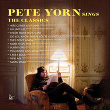 Load image into Gallery viewer, Pete Yorn - Sings The Classics (LP) RSD
